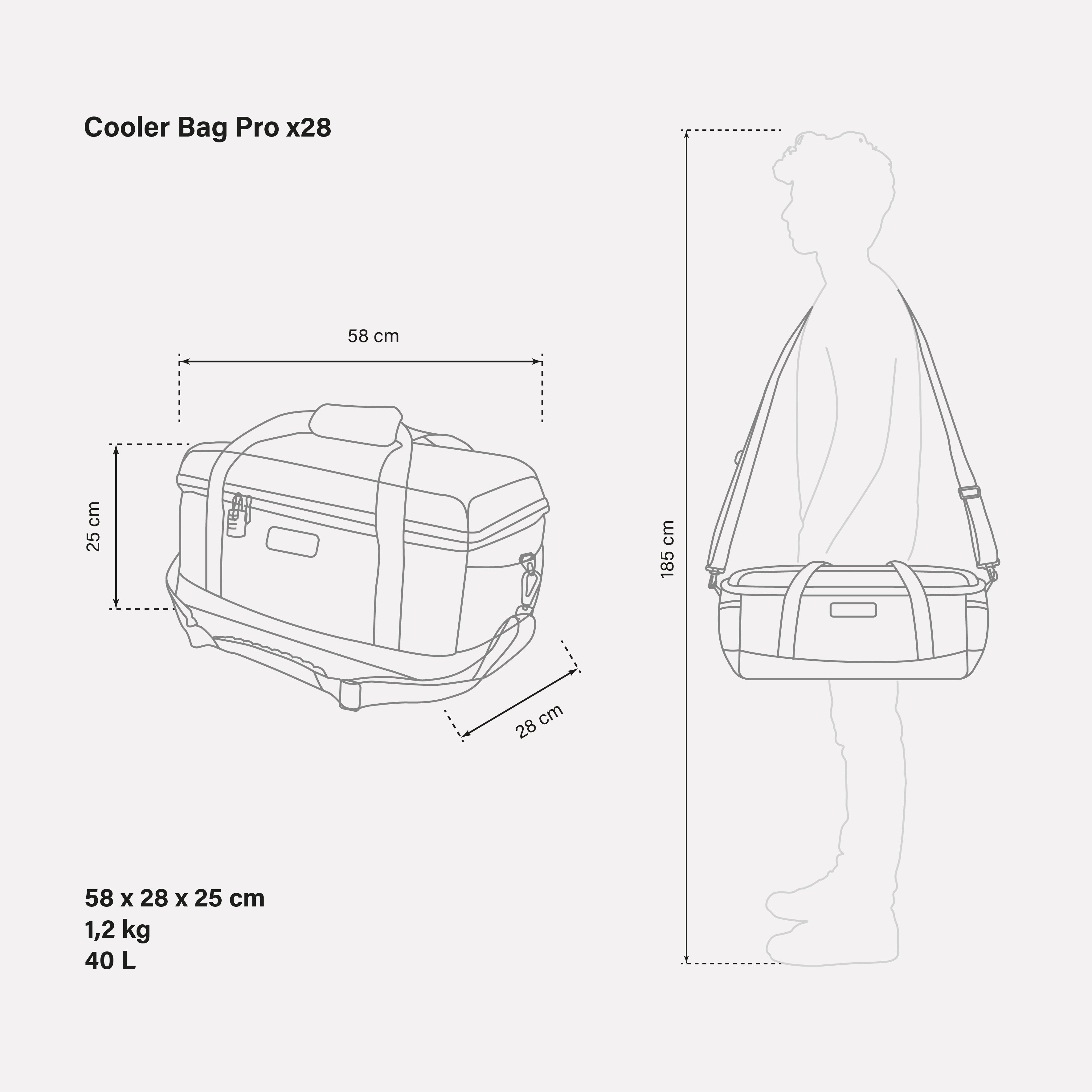 BORSA TERMICA PRO x 28