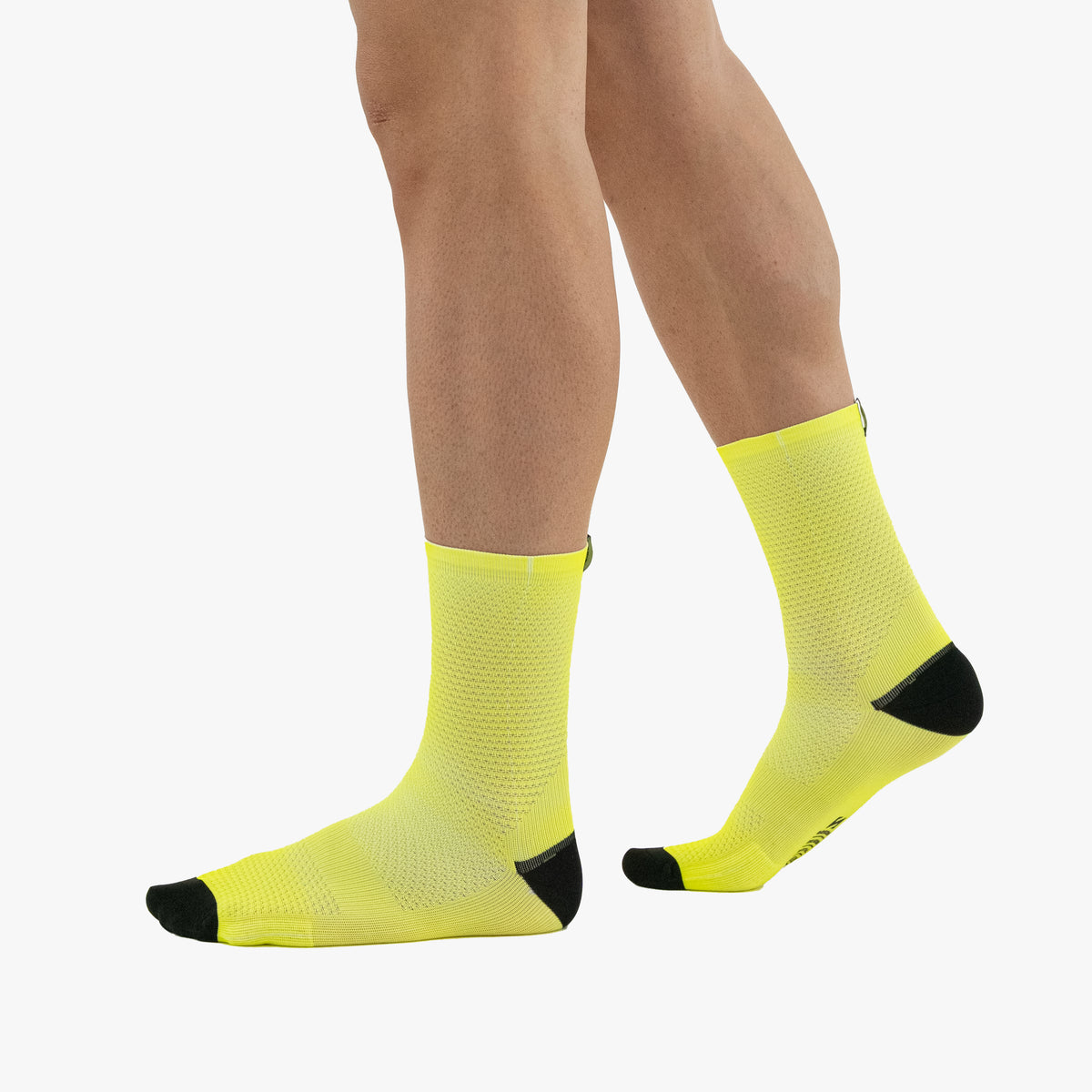 SOCKS209